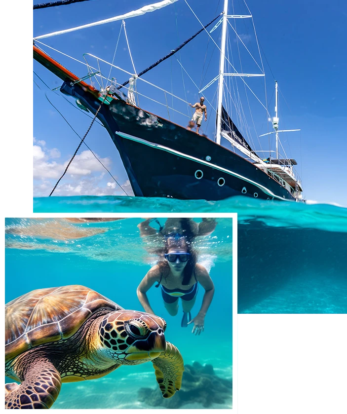 collage of images one of a man in boat and another of a woman in the ocean swimming next to a turtle